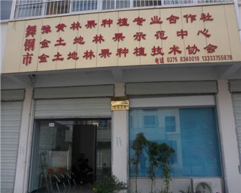 客戶接待處[河南晚秋黃梨苗]