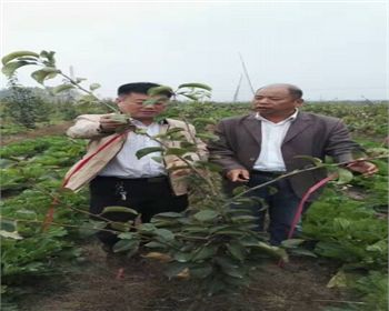 金土地產(chǎn)品品質(zhì)，我們非常認(rèn)可