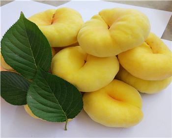 影響桃樹(shù)苗移栽成活的因素有哪些？五個(gè)因素