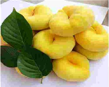 現(xiàn)在在網(wǎng)上買到的果樹苗容易成活嗎？